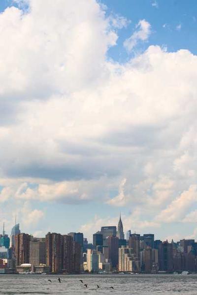 Startup Life: Growth Stage Chronicles