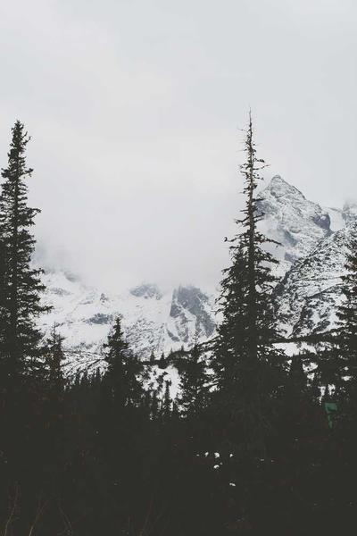 Finding My Voice Through Photography