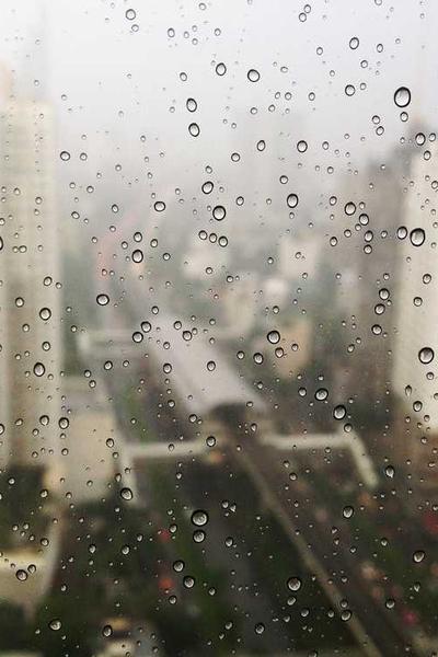 Life After Loss